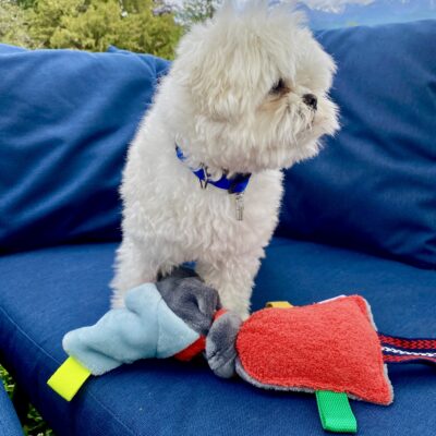 Jouet pour chien / Noeud grelot, éponge rouge polaire ciel grise – Image 6