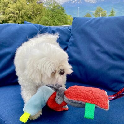 Jouet pour chien / Noeud grelot, éponge rouge polaire ciel grise – Image 5