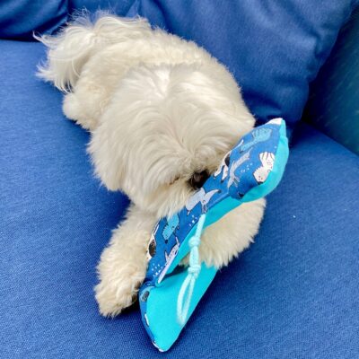 Jouet pour chien / Os bleu – Image 4