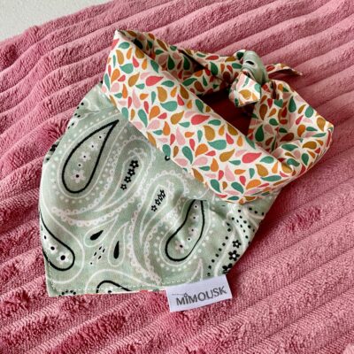 Bandana pour chien / Vert d'eau & gouttes otma – Image 4