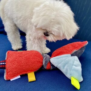 Jouet pour chien / Noeud grelot, éponge rouge polaire ciel grise