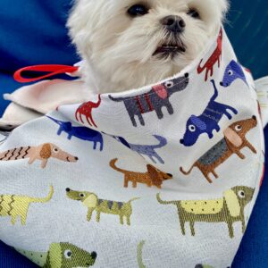 Couverture pour chien L/ Jacq / Multicolore fond beige