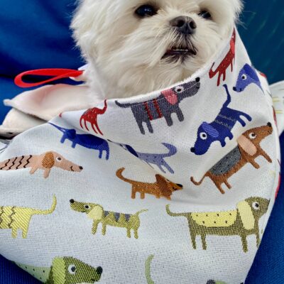 Couverture pour chien L/ Jacq / Multicolore fond beige
