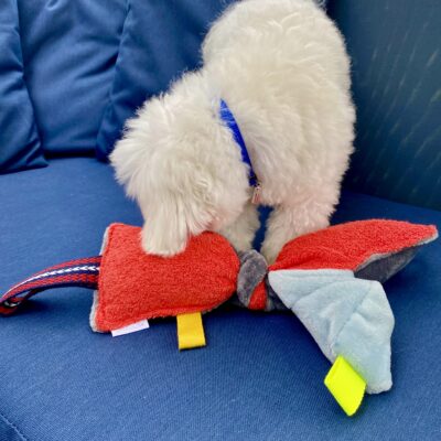 Jouet pour chien / Noeud grelot, éponge rouge polaire ciel grise – Image 4
