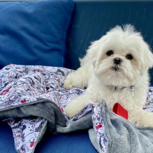 Couverture pour chien L/ Doglover / Noir blanc rouge