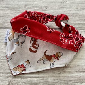 Bandana pour chien / Toutou chic, Rouge & beige