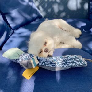 Jouet pour chien / Noeud chevron grelot, marine vert d'eau gris