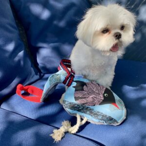 Jouet pour chien / Oiseau, bleu rouge gris