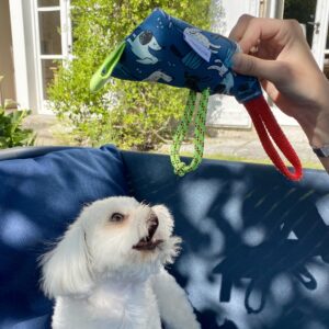 jouet pour chien