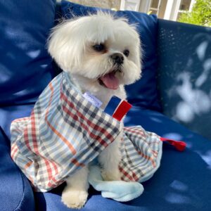 couverture pour chien écossaise