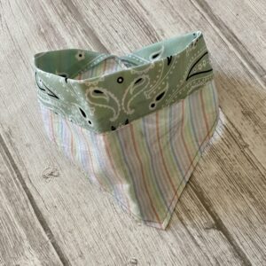 bandana pour chien