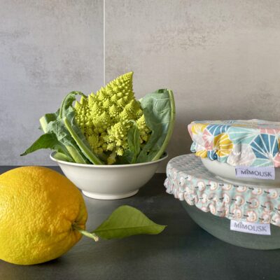 Lot de 2 charlottes à bols / Pommes + Origami multicolore